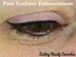EyeLiner wing Madison Wi