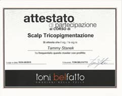 Scalp Micro Pigmentation